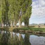 â¬Â® Raimo Rudi Rumpler-7517